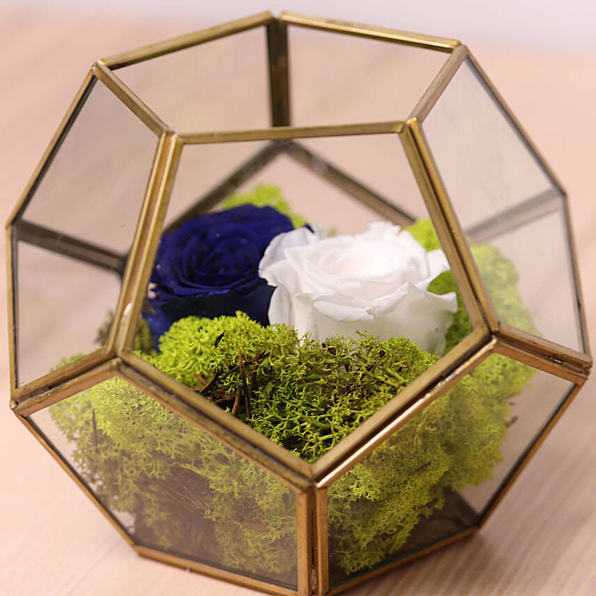 Forever Roses, Preserved Rose, Infinity Roses - FNP